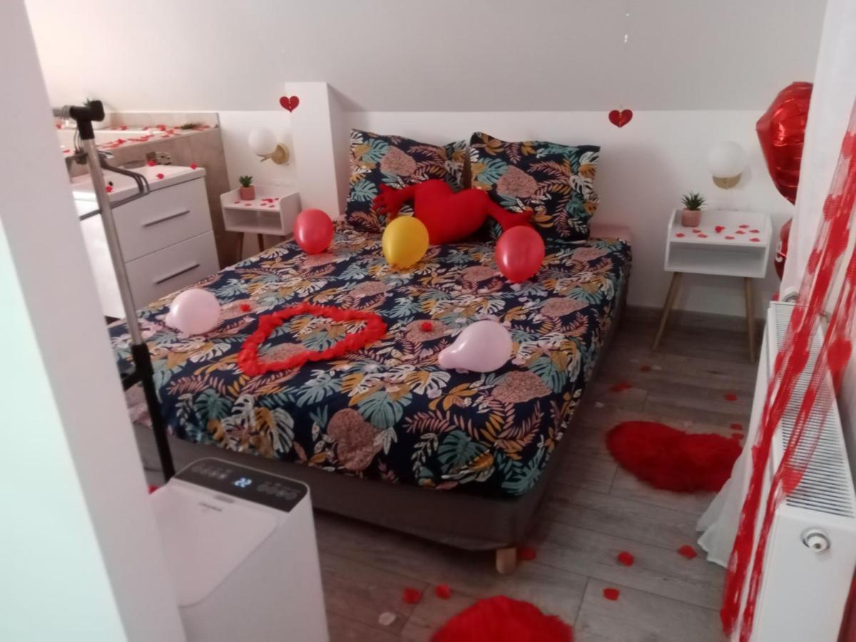 Studio Jacuzzi Au Centre コルマール エクステリア 写真